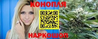 spice Кингисепп