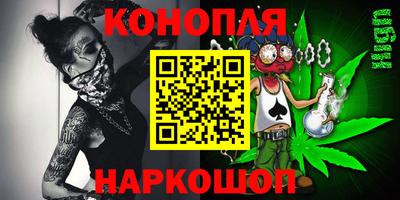 spice Кингисепп
