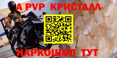 spice Кингисепп